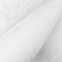 Fennel8