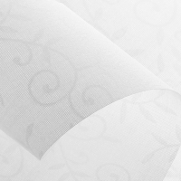Lace2